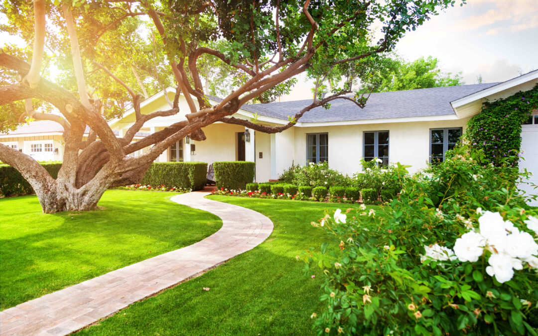 Affordable Lawn Services: Tips and Tricks for a Beautiful Yard on a Budget