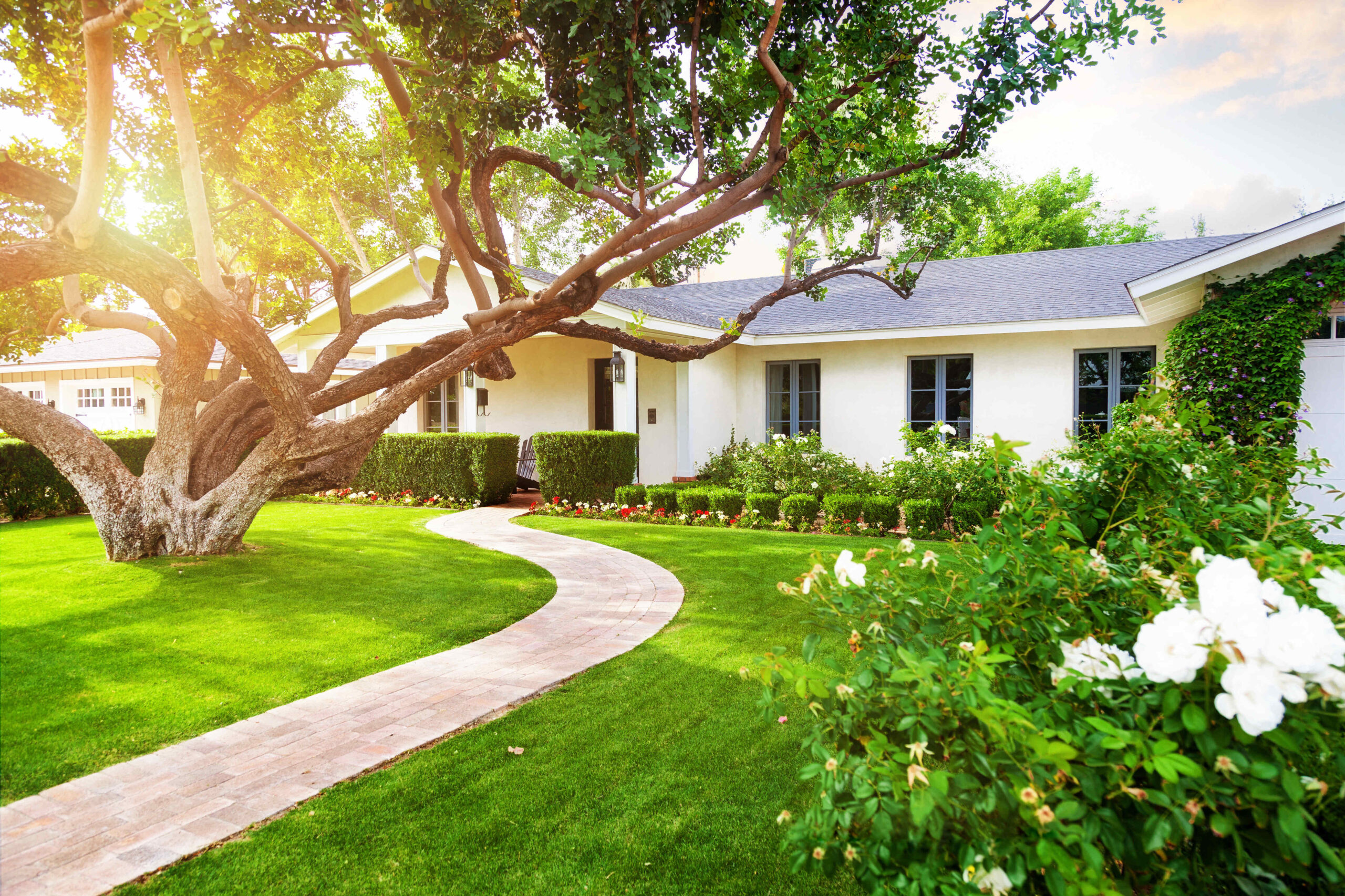 A manicured front lawn